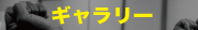 小野川空手　ギャラリー